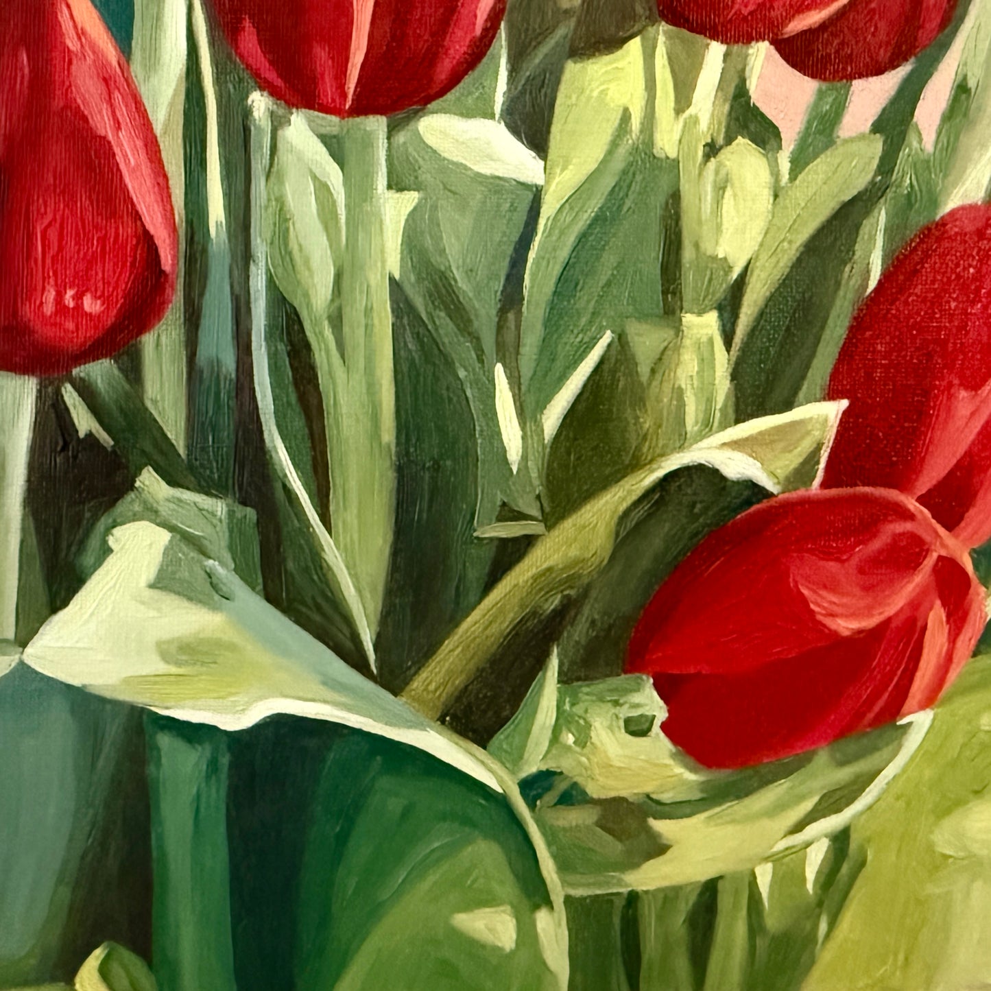 Red tulips