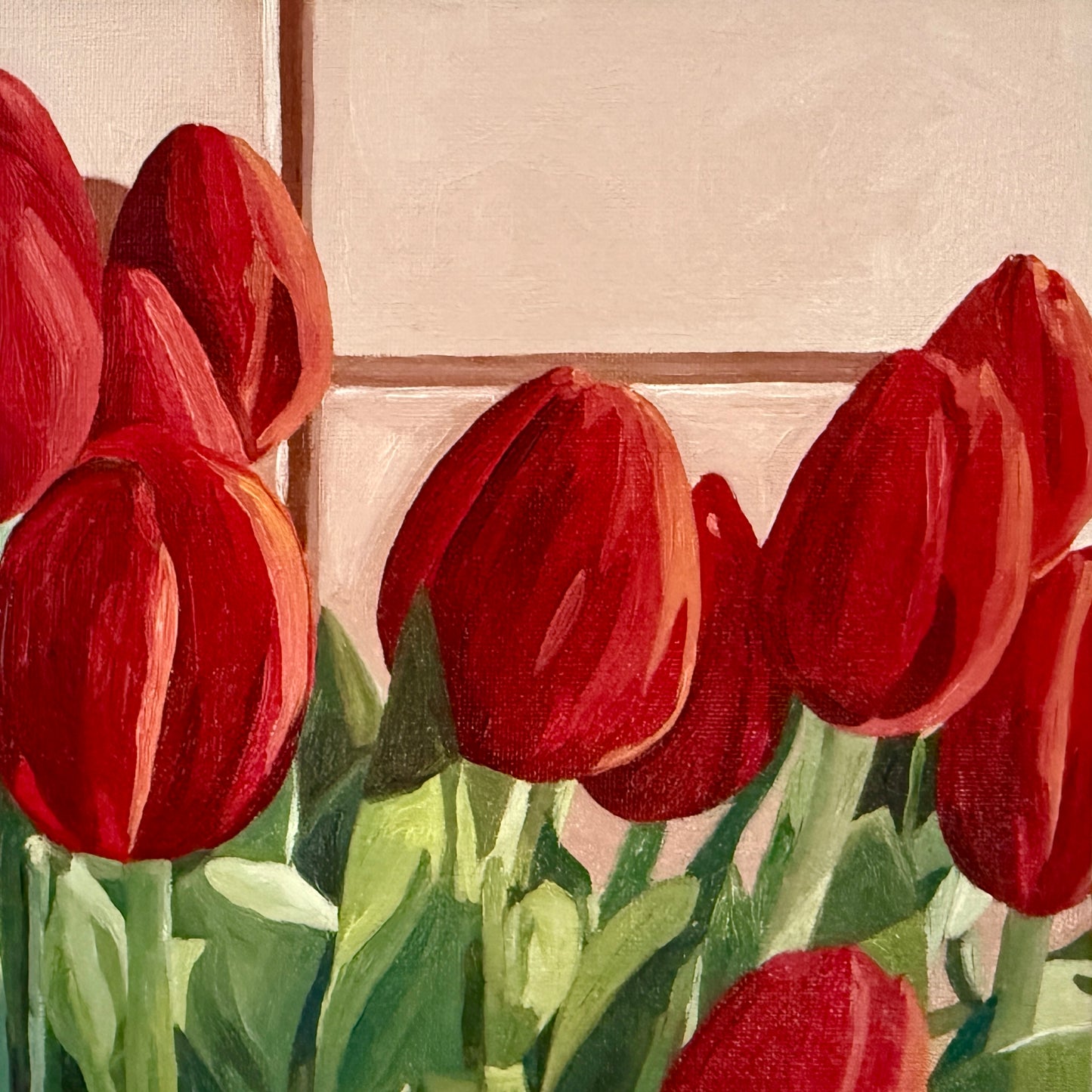 Red tulips