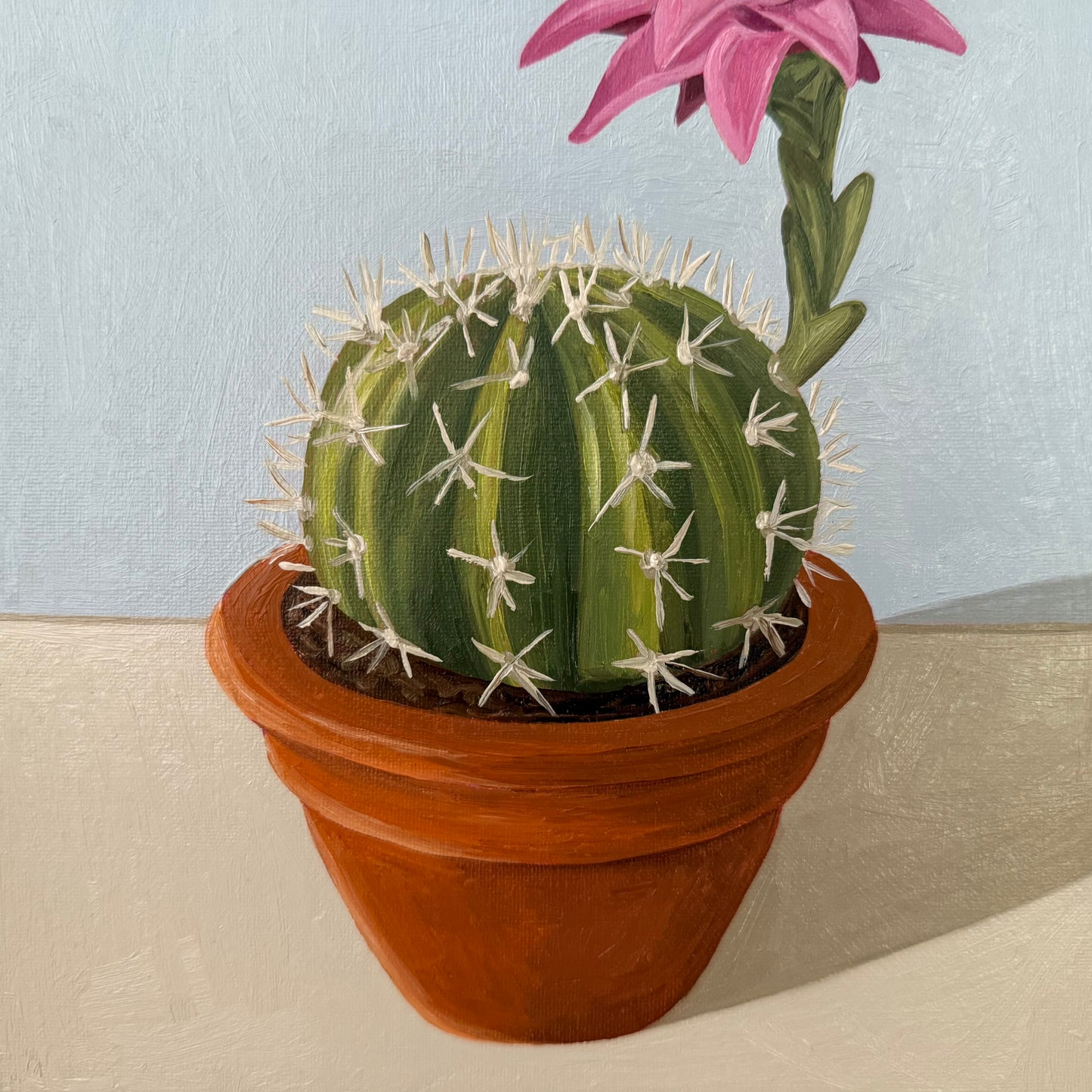 Blooming cactus