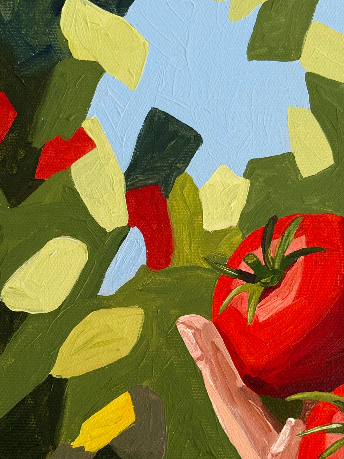 Tomato Harvest - Reserved