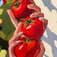 Tomato Harvest - Reserved