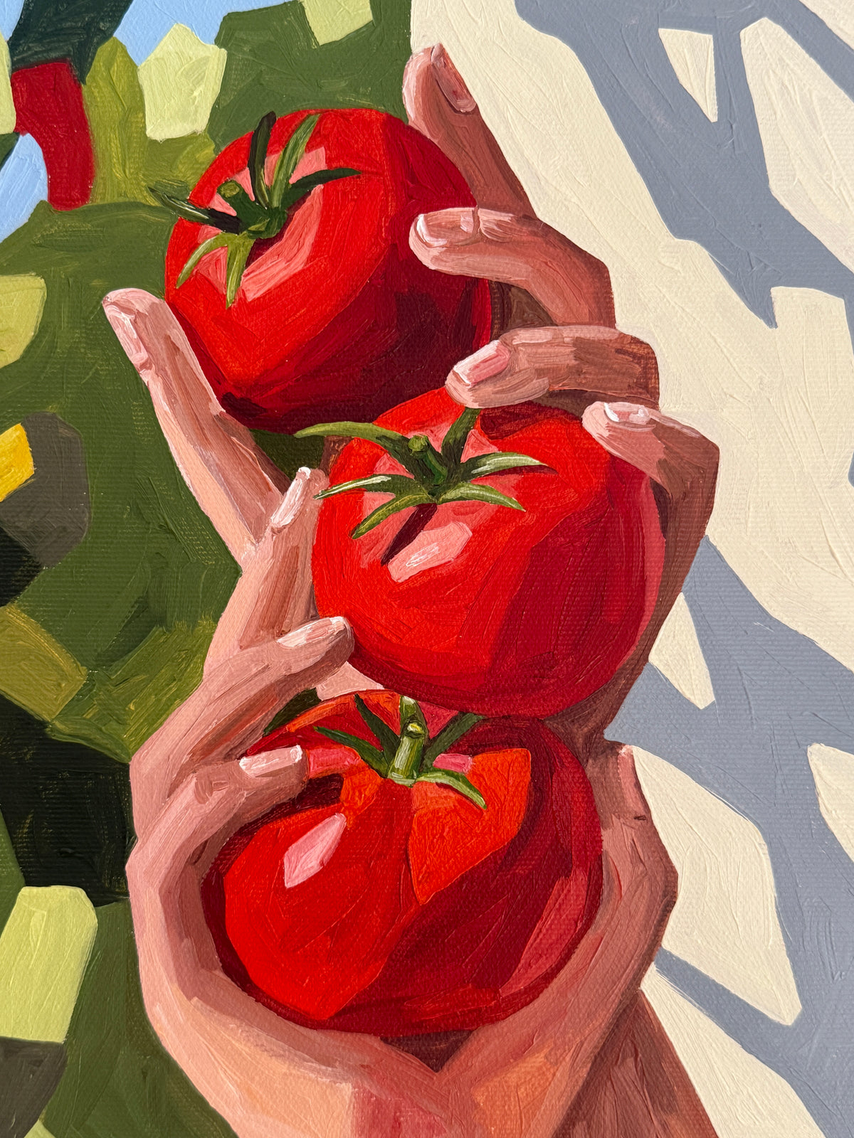 Tomato Harvest - Reserved