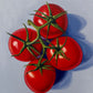 Four Tomatoes on Blue