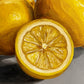 Lemons on Grey - Reserved