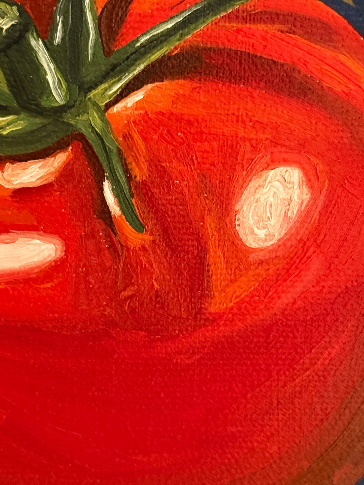Tomato on Midnight Blue - Reserved for Auction
