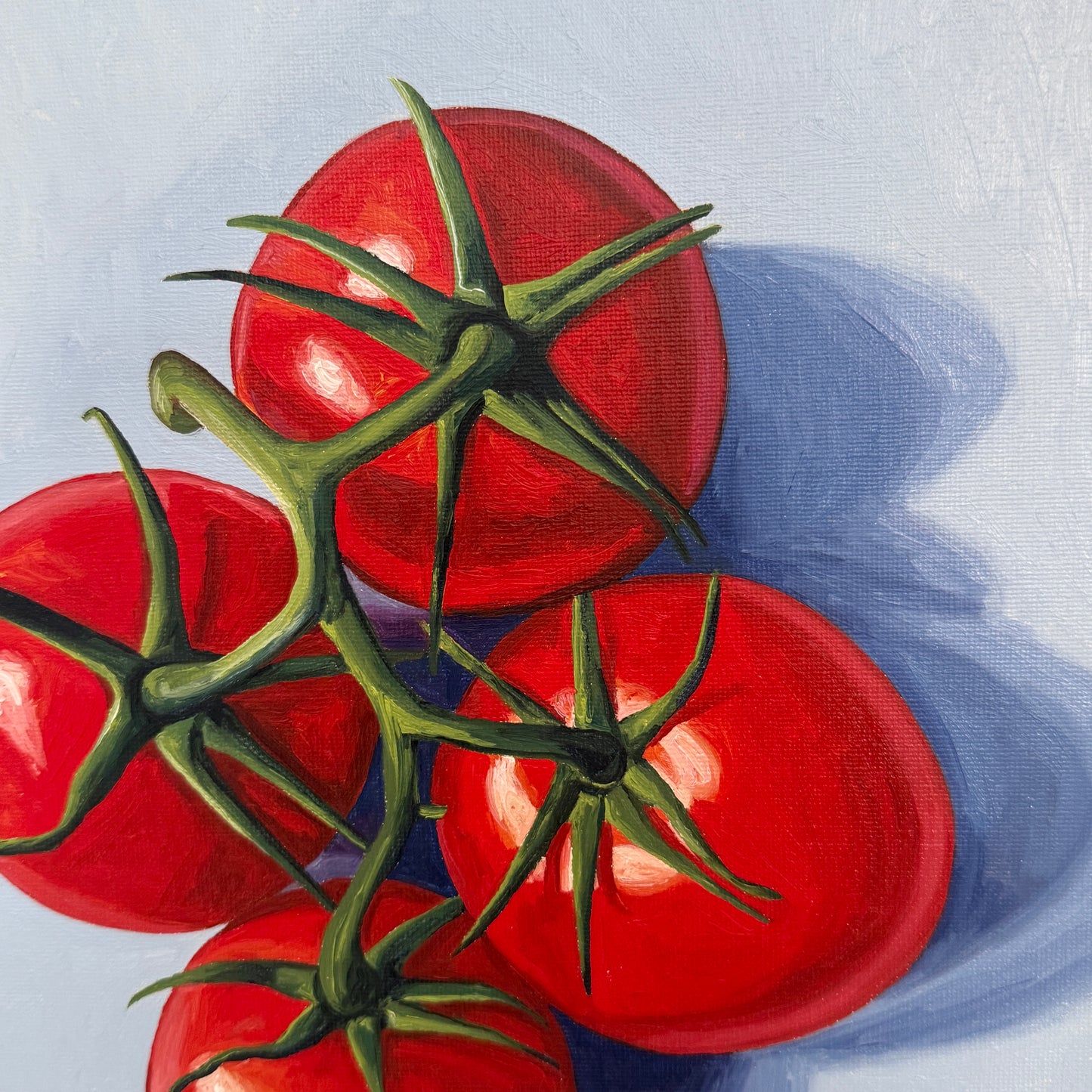 Four Tomatoes on Blue