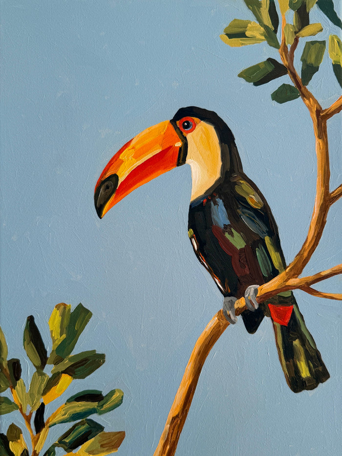 Toucan in Blue - Reserved