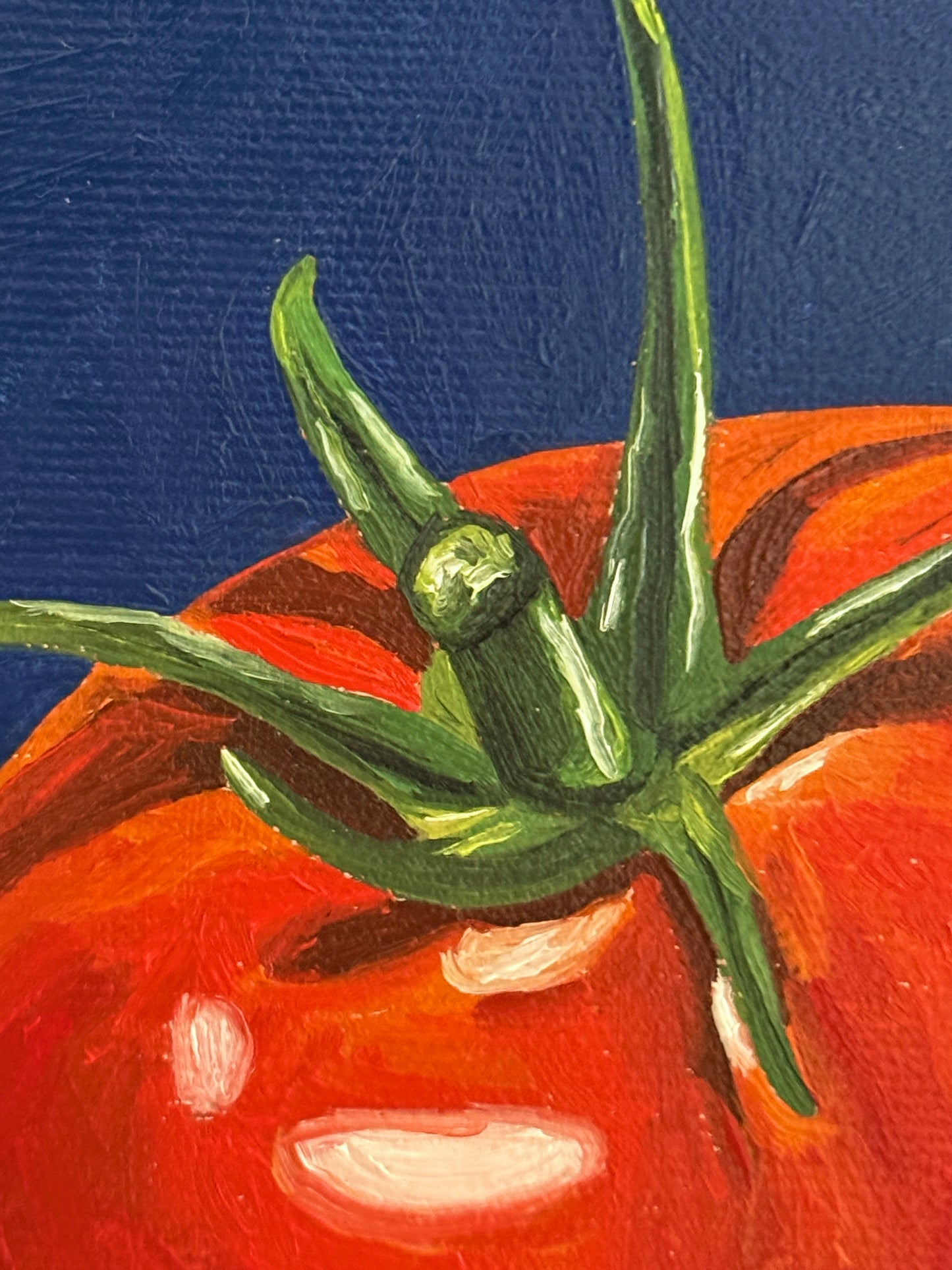 Tomato on Midnight Blue - Reserved for Auction