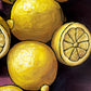 Lemon Berry