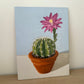 Blooming cactus