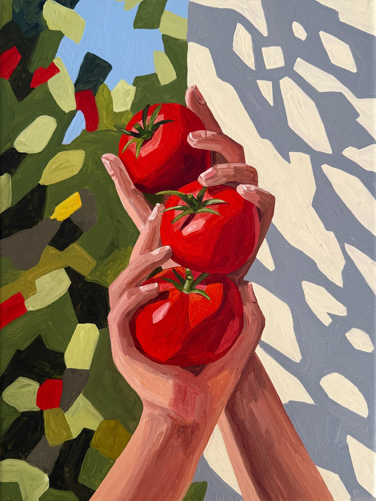 Tomato Harvest - Reserved