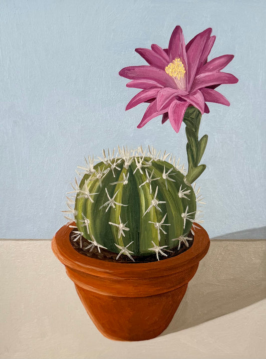 Blooming cactus