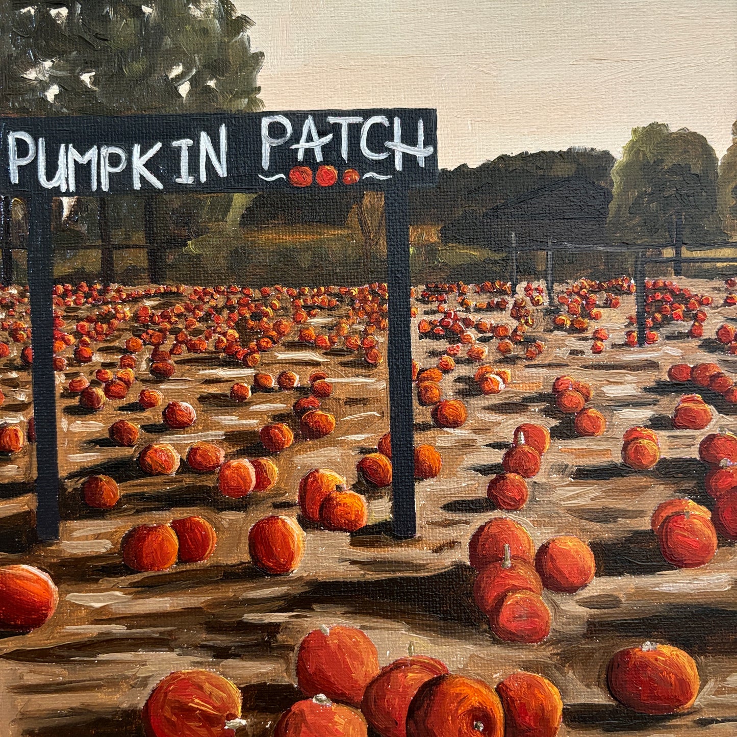 Pumpkin Patch