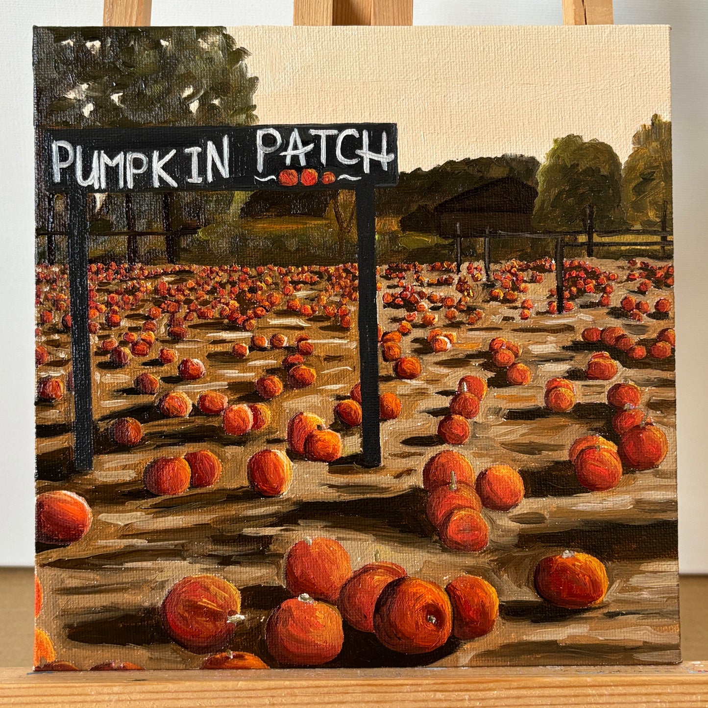 Pumpkin Patch