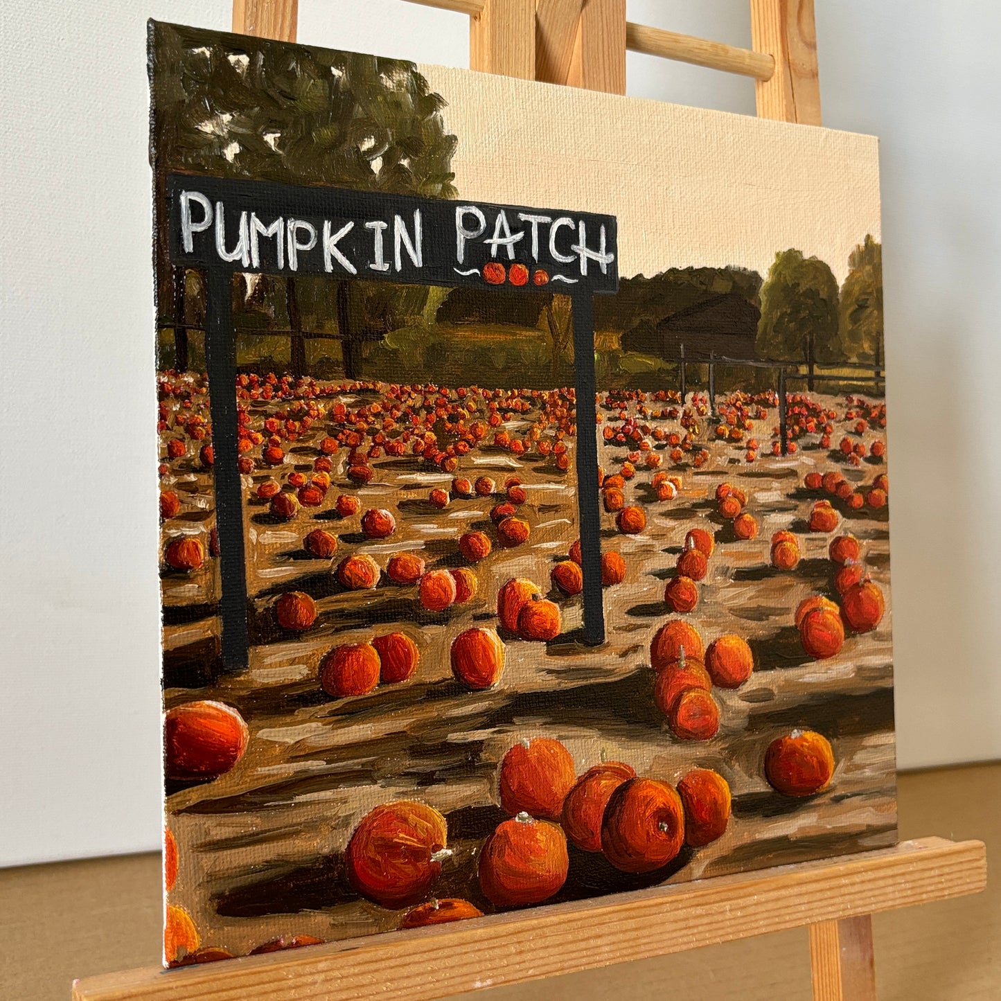 Pumpkin Patch