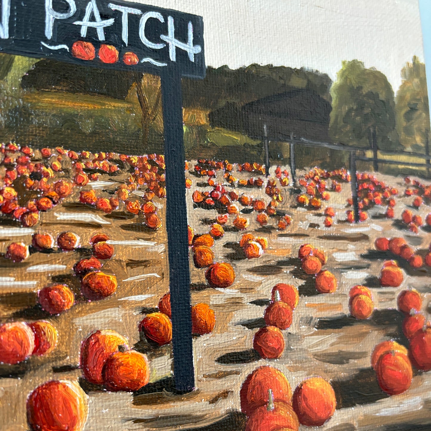 Pumpkin Patch