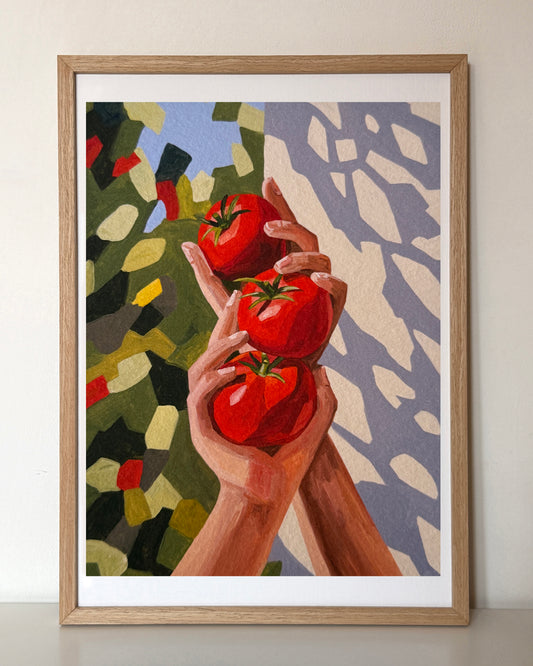 Tomato Harvest
