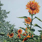 Sunflower Field