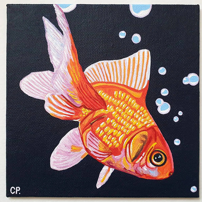 Goldfish