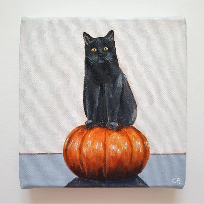 Black Cat and Pumpkin